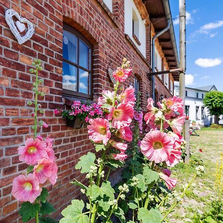 Ostsee Bauernhof Schwalbennest Ofc 15 Steffenshagen Ngoại thất bức ảnh